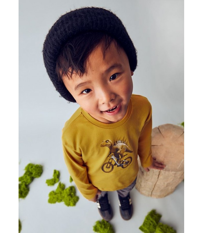 CAMISETA NIÑO DINO BICI MAYORAL