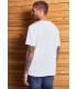 CAMISETA BÁSICA M/C HOMBRE STREET ONE