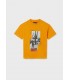 CAMISETA NIÑO DESERT GETAWAY MAYORAL