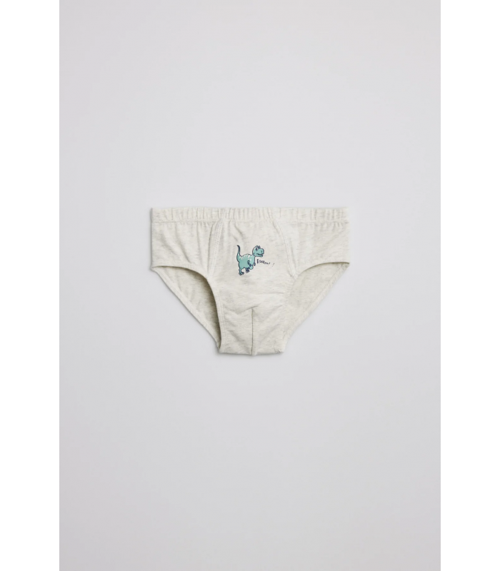 PACK DOS SLIPS NIÑO DINO
