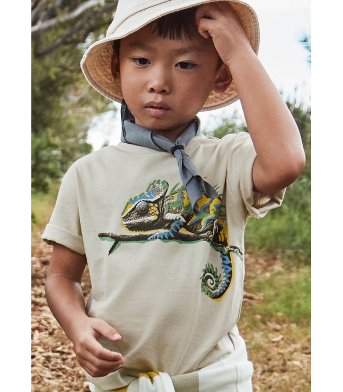 CAMISETA NIÑO CHAMELEON MAYORAL